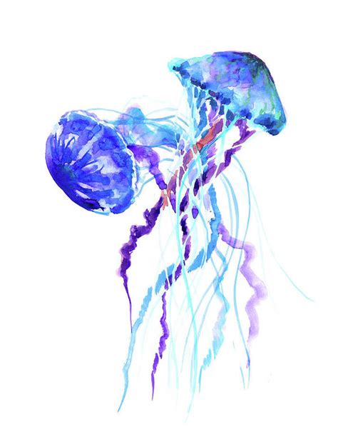 Blue Purple Jellyfish Artwork Design Art Print By Suren Nersisyan