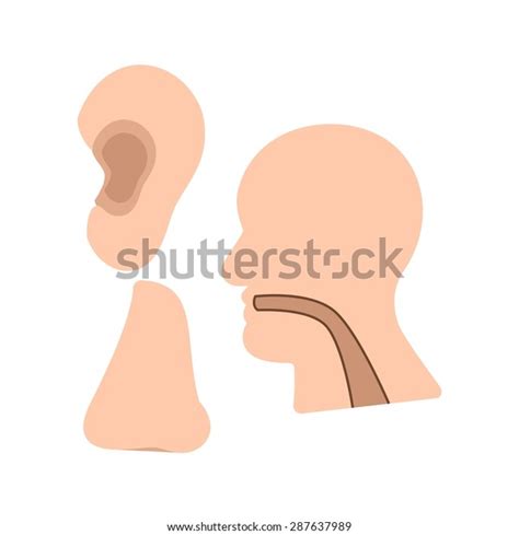 Ear Nose Throat Ent Icon Vector Stock Vector Royalty Free 287637989