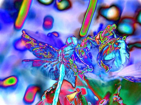 Abstract Dragonfly Digital Art By Belinda Cox Fine Art America
