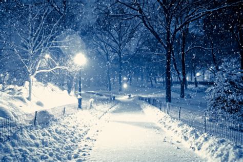 Central Park By Night During Snow Storm Stock Photo Download Image