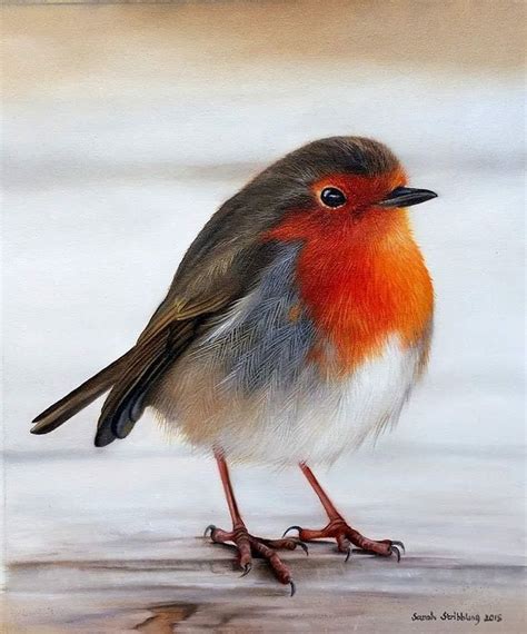 Sarah Stribbling On Instagram Robin Oil Painting From Last Year Ive