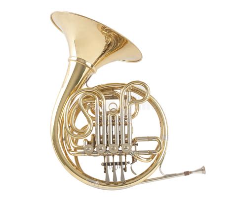 French Horn Stock Photo Image Of Brass Harmony Orchestra 24608308