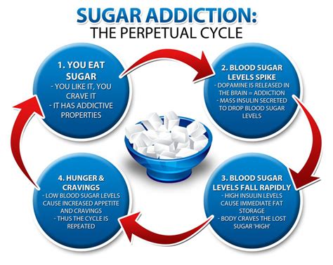 How To Stop Sugar Cravings For Good Paula Owens Ms