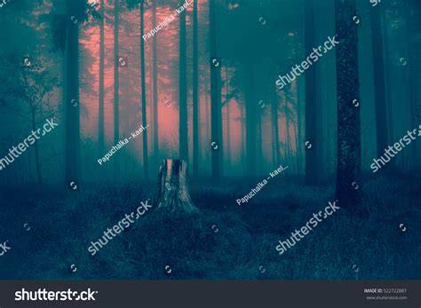 4055 Sad Woods Background Images Stock Photos And Vectors Shutterstock