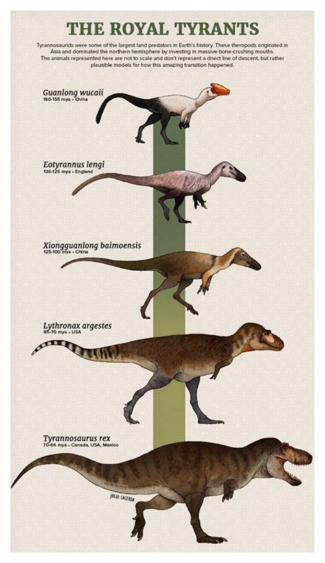 Tyrannosaurus Evolution Prehistoric Animals Dinosaurs Prehistoric