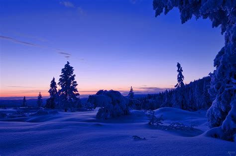 Norway Winter Snow Forest Tree Night Sunset Sky Clouds 風景