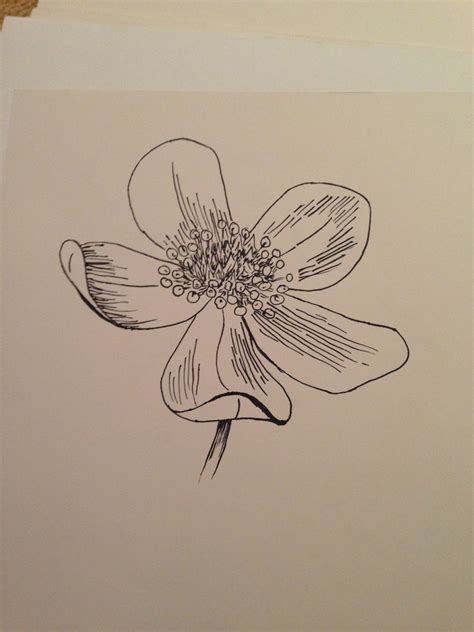 Flower Pen Drawing Simple Beautiful Flower Arrangements And Flower