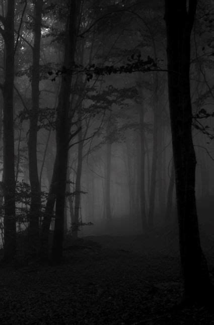 Pin By Atelier Tmp On Dark Feel 暗い影 Woodland Forest Monochrome
