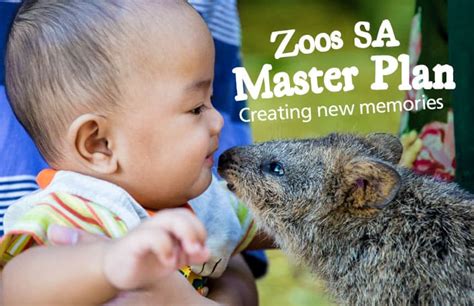 Zoos Sa Master Plan Zoos Sa