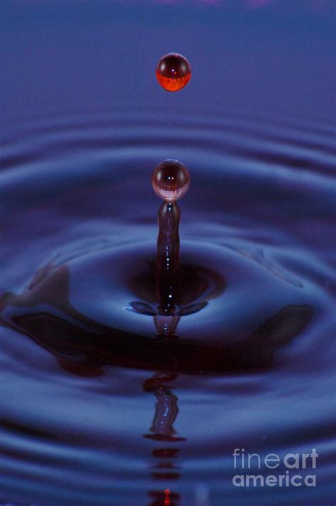 One Drop One Splash Photograph By Patrick Shupert Fine Art America