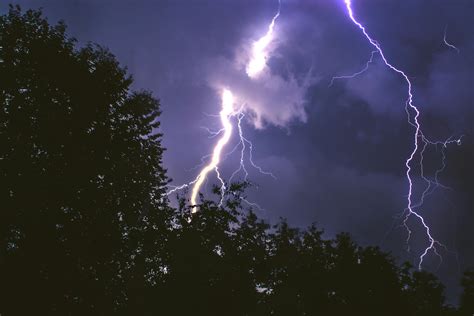 Lightning Strike On Forest During Night Time · Free Stock Photo