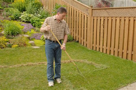 Dethatch and/or aerate the lawn, if needed, using the instructions in the above sections. Lawn Thatching Guidelines - Best Manual Lawn Aerator