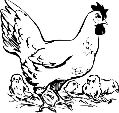 Onlinelabels Clip Art Hen And Chickens