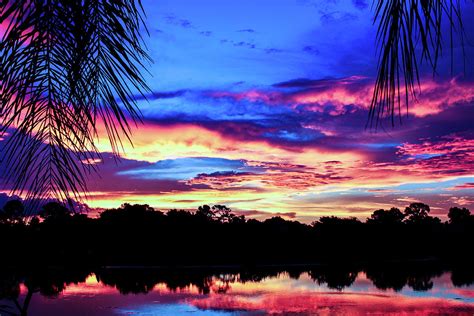 Dark Pink And Blue Florida Sunset On The Water Photograph By Quiet