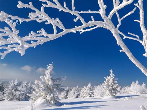 [49+] Bing Winter Scenes Wallpaper - WallpaperSafari