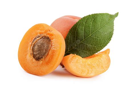 The Fresh Apricot With A Leaf Stock Photo Image Of Clean Freshness