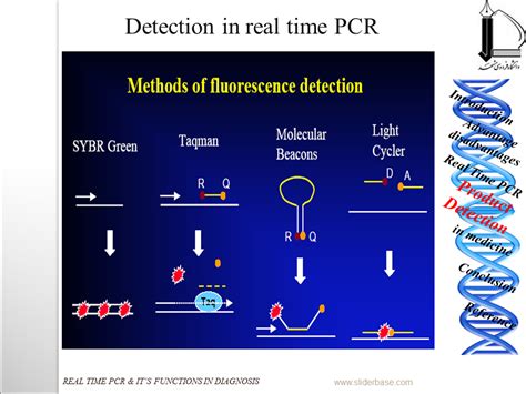 Molecular Beacons