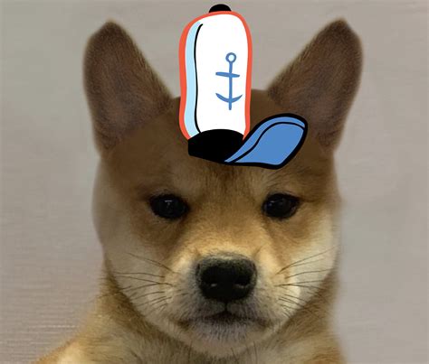 I Make Dog Wif Hat Imakedogwifhat Twitter