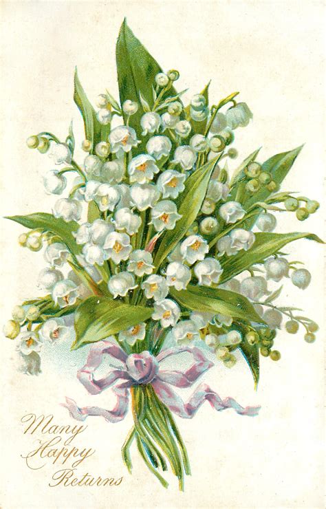 Paper Postcard Lily Of The Valley Flowers Language Of Flowers B Day