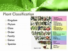 PPT - PLANT TAXONOMY PowerPoint Presentation, free download - ID:6055229