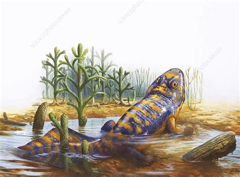 Early Land Animal Stock Image E4450286 Science Photo Library