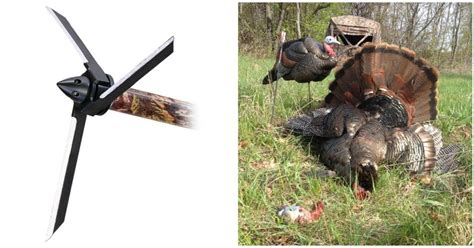 Turkey Hunters Top 3 Reasons To Shoot A Magnus Grand View Outdoors