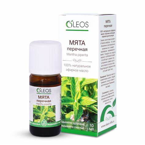 Эфирное масло похудеть Масло мяты эфирное | oleos Масло мяты эфирное | oleos Эфирное масло похудеть