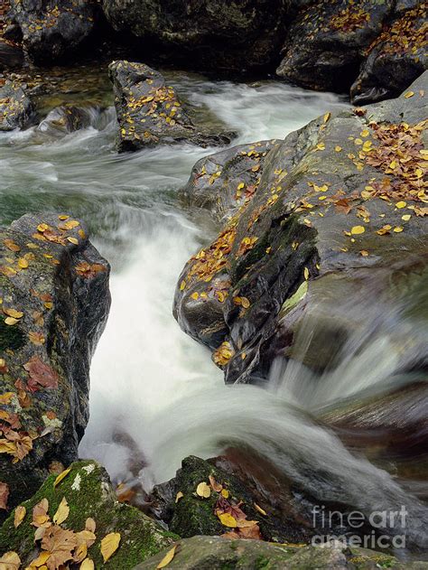 Mountains Stream 2004 Photograph By Matthew Turlington Pixels