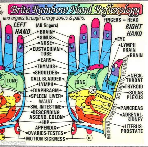 Coded Hand Reflexology Acupressure Laminated Wallet Card Chart Etsy Hand Reflexology