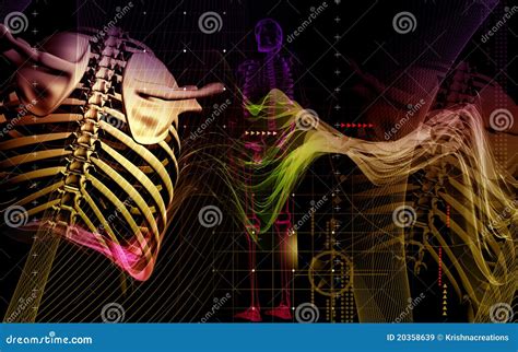 Collar Bone Stock Illustration Illustration Of Medical 20358639