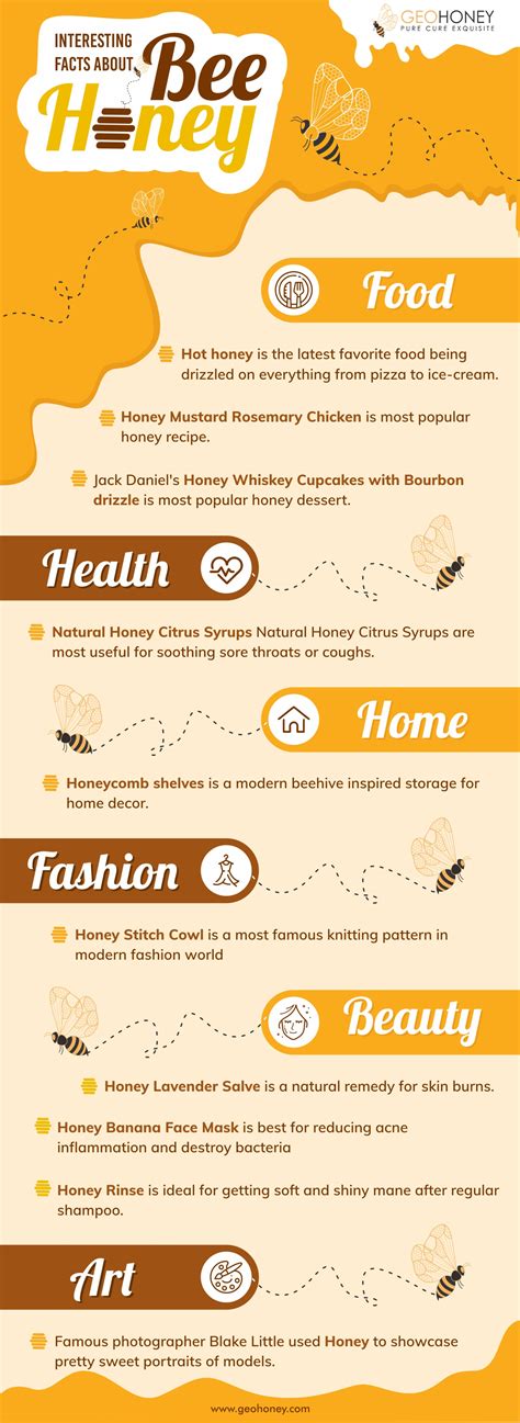 Interesting Facts About Bee Honey L Infograph Geohoney