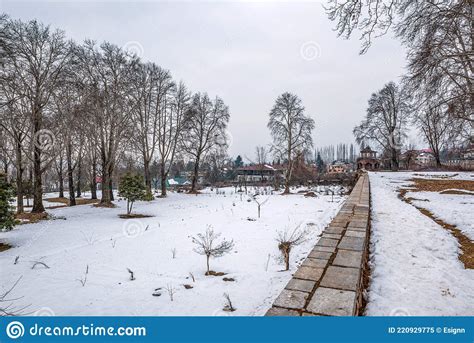 The View Of Nishat Bagh Mughal Garden During Winter Season Srinagar