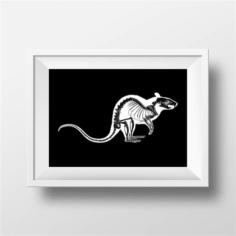 Rat Skeleton Art Print Limited Edition Original Animal Art Etsy