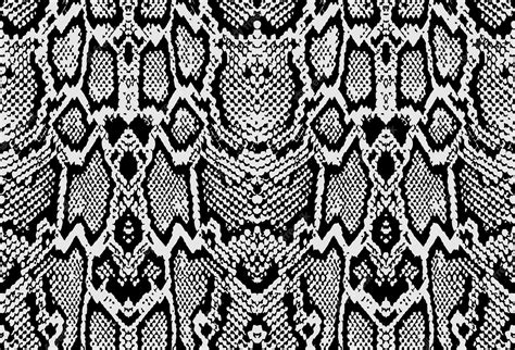 Premium Vector Snake Python Skin Texture Seamless Pattern Black On