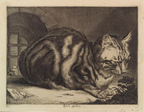 The Large Cat Nypl Digital Collections