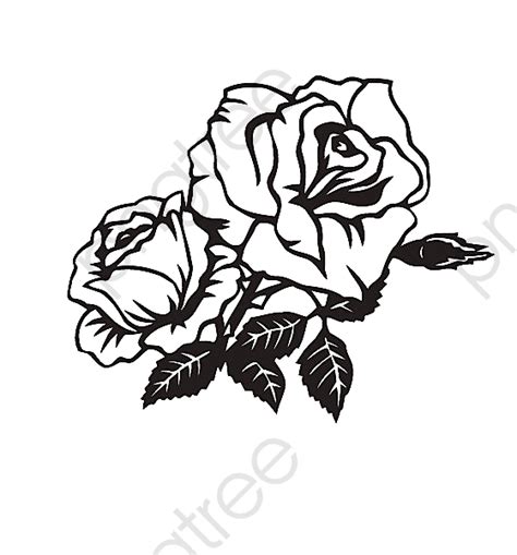 Two Black And White Roses Angle Trim Black And White Simple Rose Png