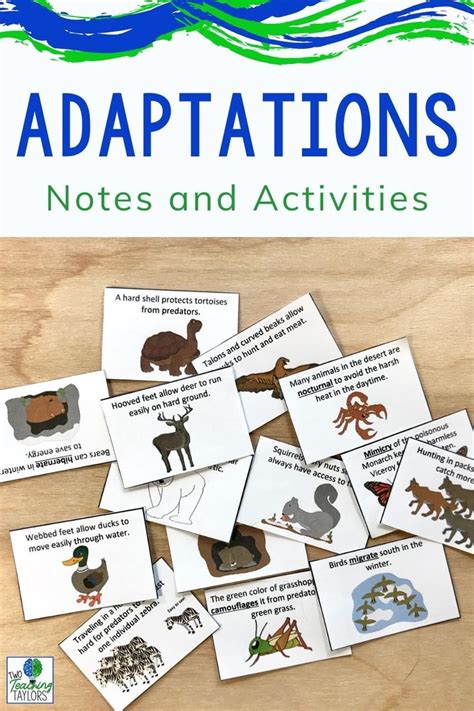 Animal Adaptations Interactive Notebook Foldable Notes And Activities
