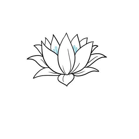 lotus flower drawing - Google Search | Lotus flower drawing, Flower art drawing, Lotus drawing