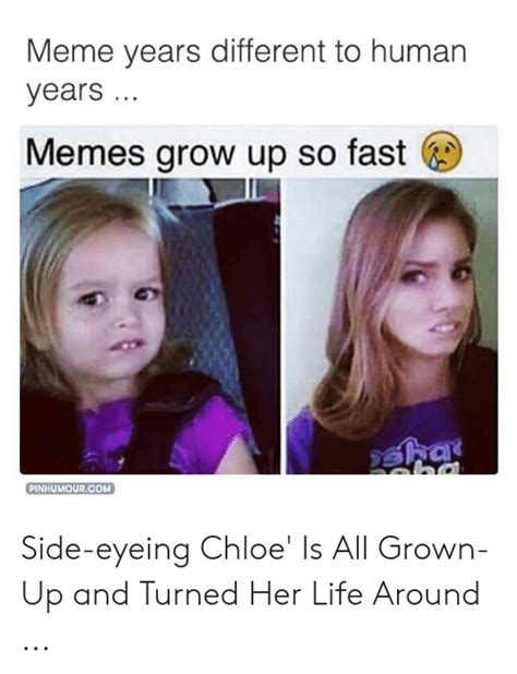 Meme Years Different To Human Years Memes Grow Up So Fast Pinhumourcom
