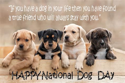 Here is share all the necessary information about the puppy day 2021 quotes, wishes, messages, greetings, sayings, and some more others. National Dog Day - 26 August Happy National Dog Day 2019 ...