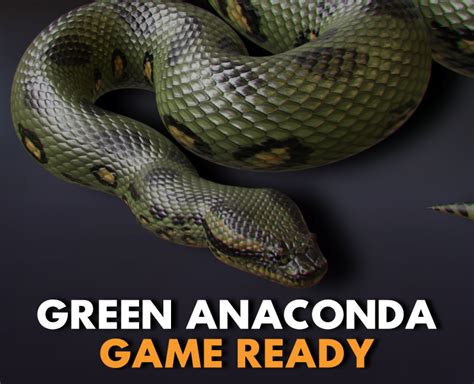 Green Anaconda Animated Flippednormals