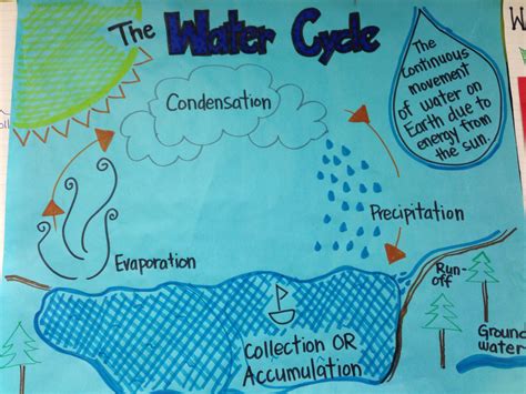 Anchor Chart For The Water Cycle Water Cycle Project Ideas Water
