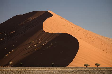 Notre Immersion Dans Le Désert Du Namib Trip In Wild Blog De Voyage