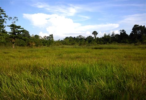 Grantnsaipan Taman Nasional Sulawesi Tenggara