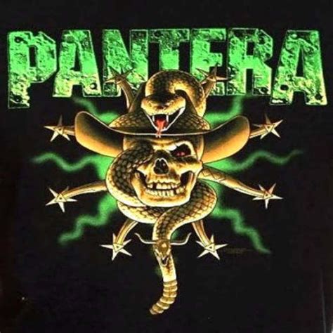 Pantera T Shirt Cfh Skull Snake Logo Thrash Rock Metal Official L Last
