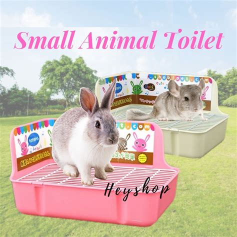 If you have any question about your piggies, you can ask me through whatsapp (0174379812) or facebook (jack cavy) be good to animal and they will pray goodness for you. Litter Tray - Rabbit, Chinchilla, Pets, Guinea Pig, Small ...