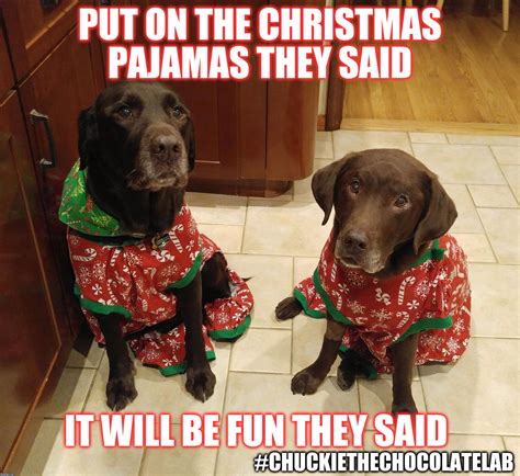 Put On The Christmas Pajamas They Said It Will Be Fun They Said Imgflip