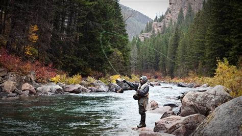 Fly Fishing In Mt Heimburger And Company Inc