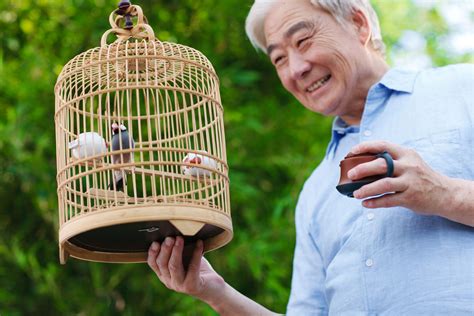 10 Things To Know Before Adopting A Pet Bird Pet Bird Pet Bird Cage