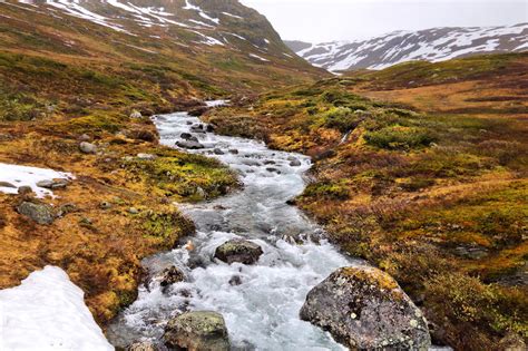 Any biome can comprise a variety of habitats. Startling Facts About Freshwater Biome You May Not Be Aware Of